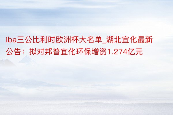 iba三公比利时欧洲杯大名单_湖北宜化最新公告：拟对邦普宜化环保增资1.274亿元