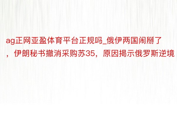 ag正网亚盈体育平台正规吗_俄伊两国闹掰了，伊朗秘书撤消采购苏35，原因揭示俄罗斯逆境