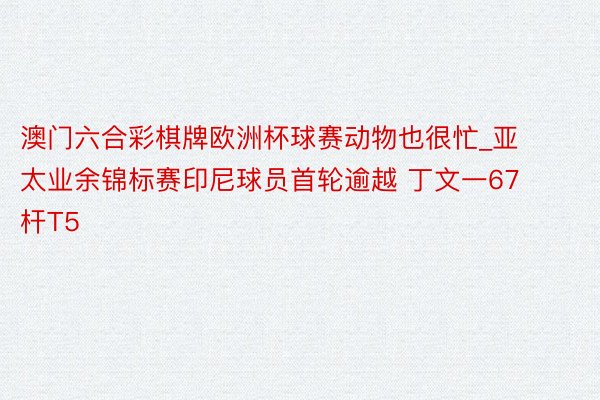 澳门六合彩棋牌欧洲杯球赛动物也很忙_亚太业余锦标赛印尼球员首轮逾越 丁文一67杆T5