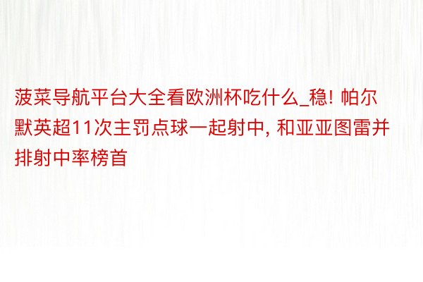 菠菜导航平台大全看欧洲杯吃什么_稳! 帕尔默英超11次主罚点球一起射中, 和亚亚图雷并排射中率榜首