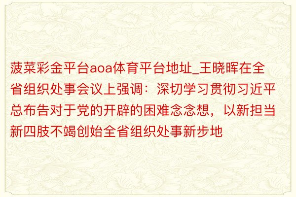 菠菜彩金平台aoa体育平台地址_王晓晖在全省组织处事会议上强调：深切学习贯彻习近平总布告对于党的开辟的困难念念想，以新担当新四肢不竭创始全省组织处事新步地